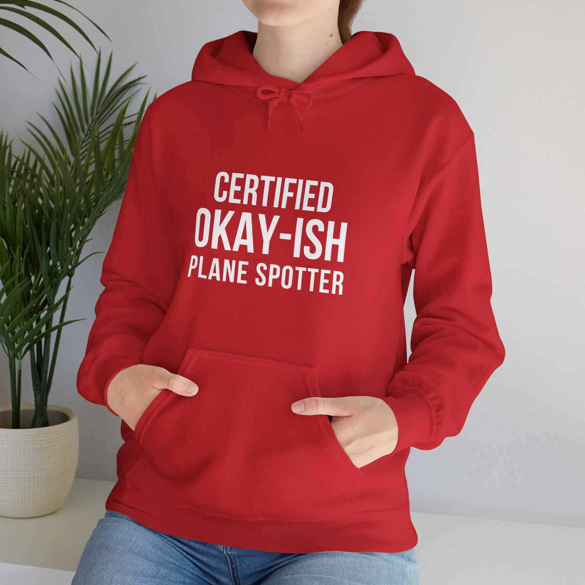 Certified Okay-ish Plane Spotter - Pullover Hoodie