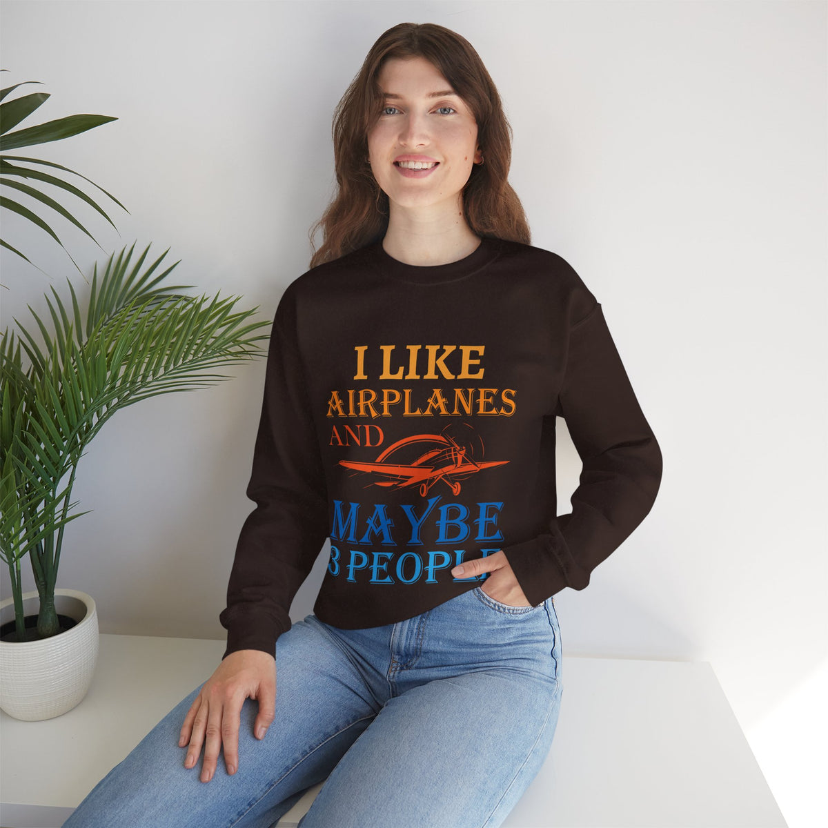 I Like Airplanes And Maybe 3 People -  Unisex Crewneck Sweatshirt