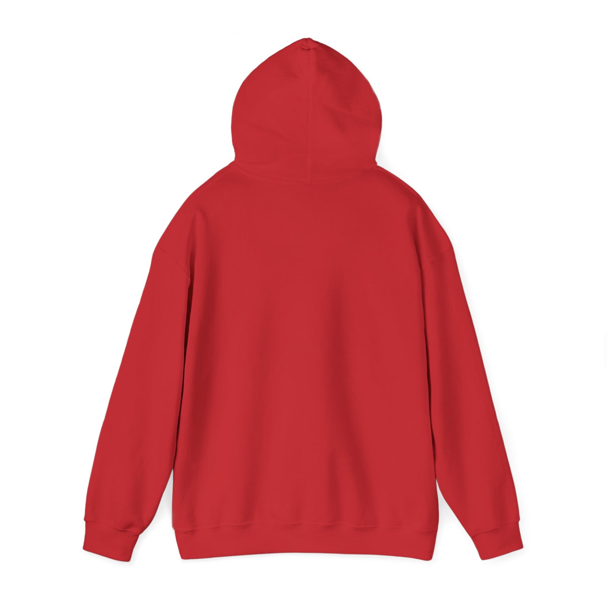 Airbus A330 - Pullover Hoodie