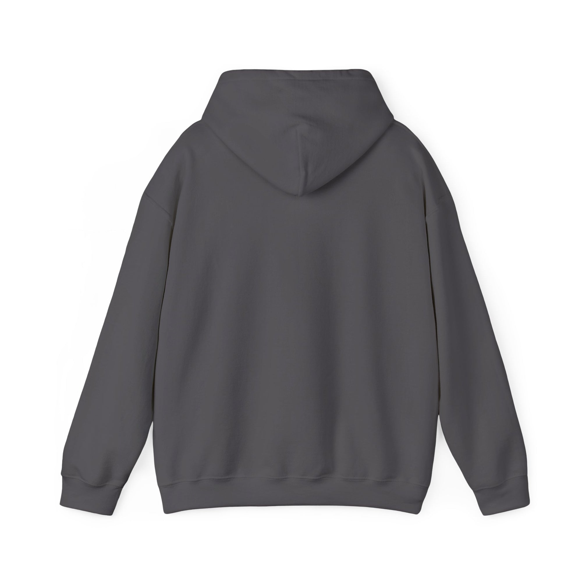 We Rule The Sky  - Pullover Hoodie