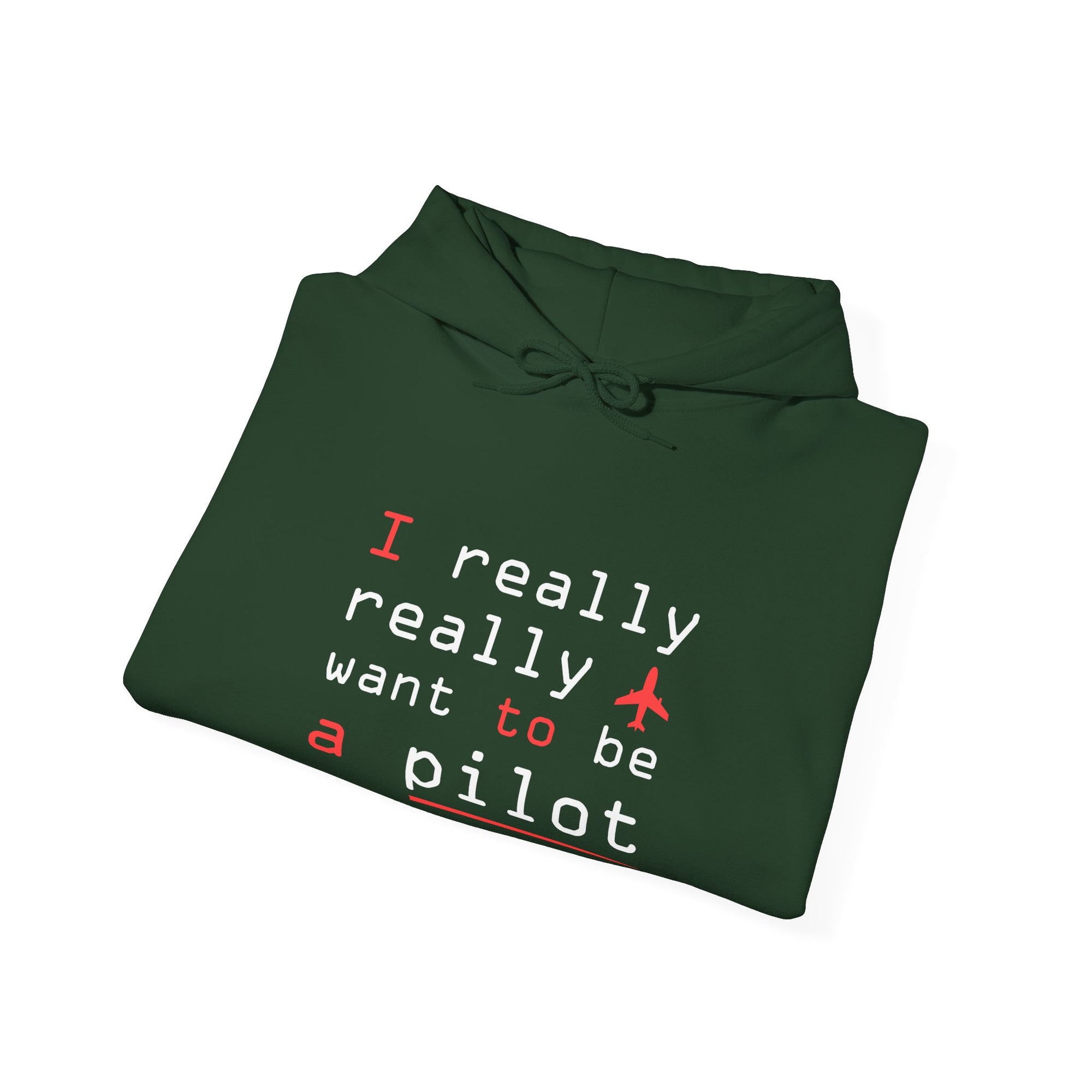 I Really Really Want To Be A Pilot  - Unisex Pullover Hoodie