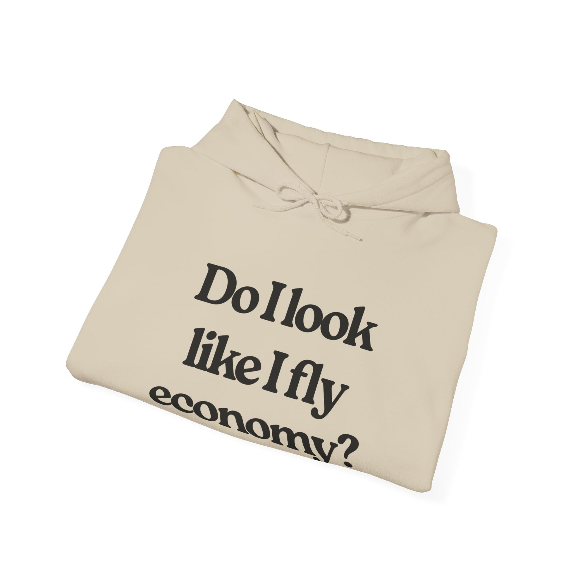 Do I Look Like I Fly Economy?  - Pullover Hoodie