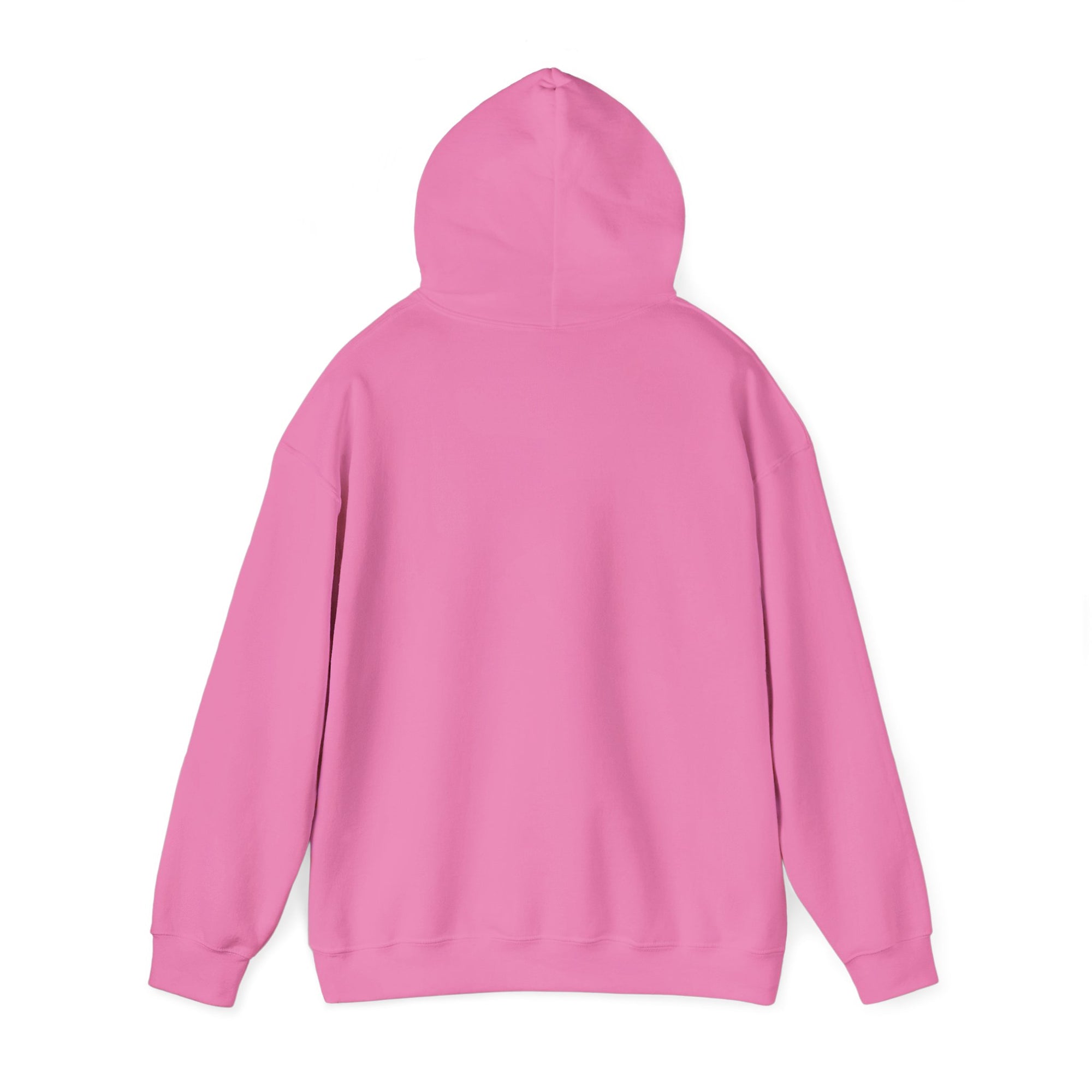 If Found: Return To First Class - Pullover Hoodie