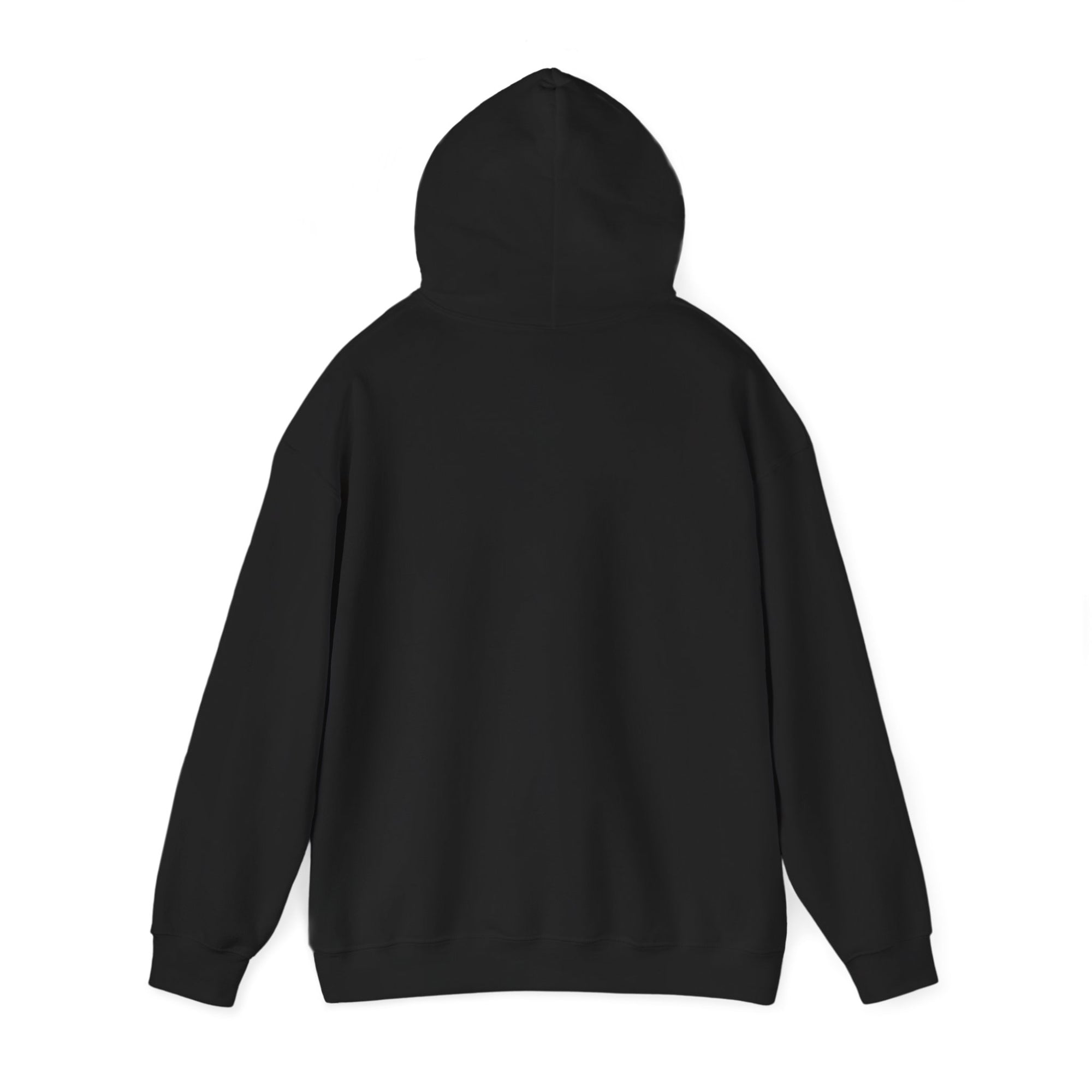 Aviation Noun - Pullover Hoodie