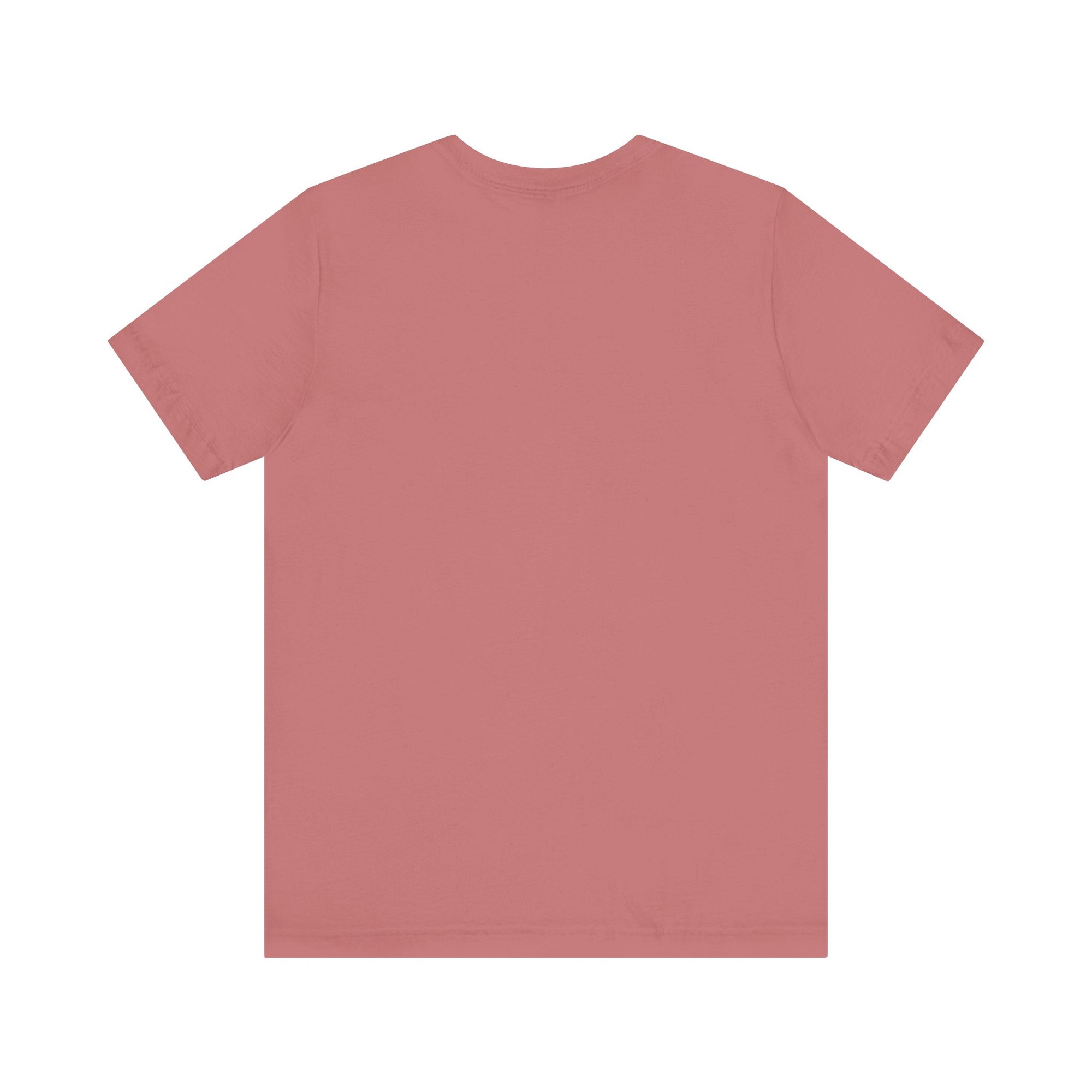 How Planes Fly?  - Unisex Jersey Tee