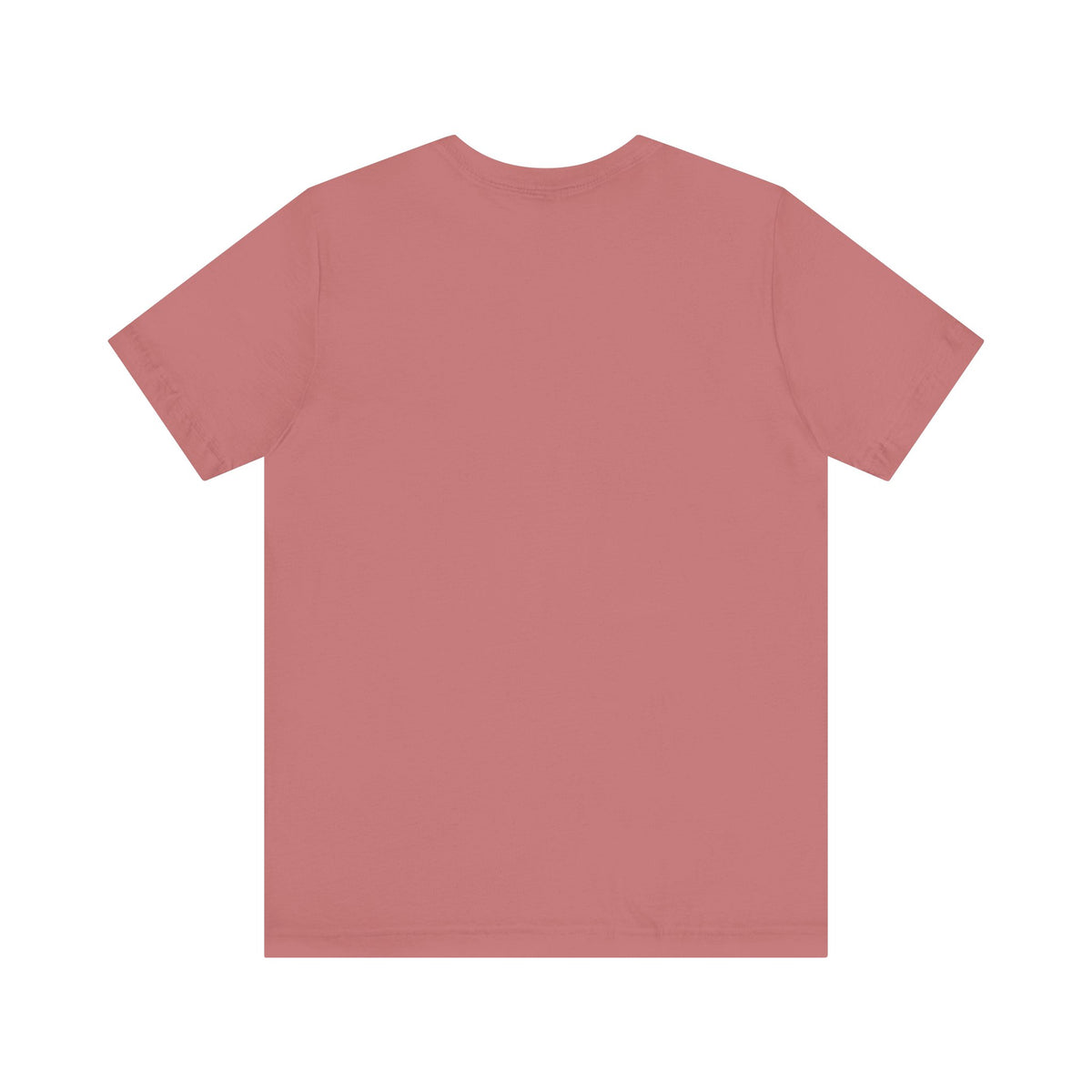 Boeing 757 - Unisex Jersey Tee