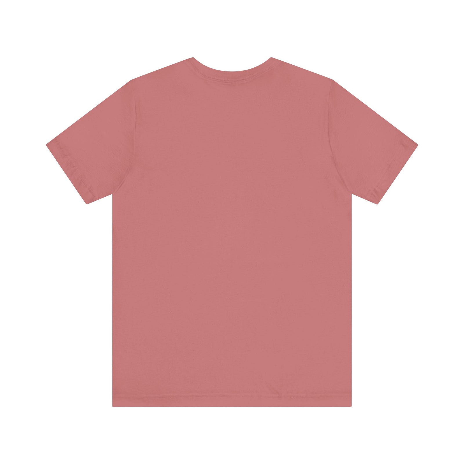 Boeing 757 - Unisex Jersey Tee