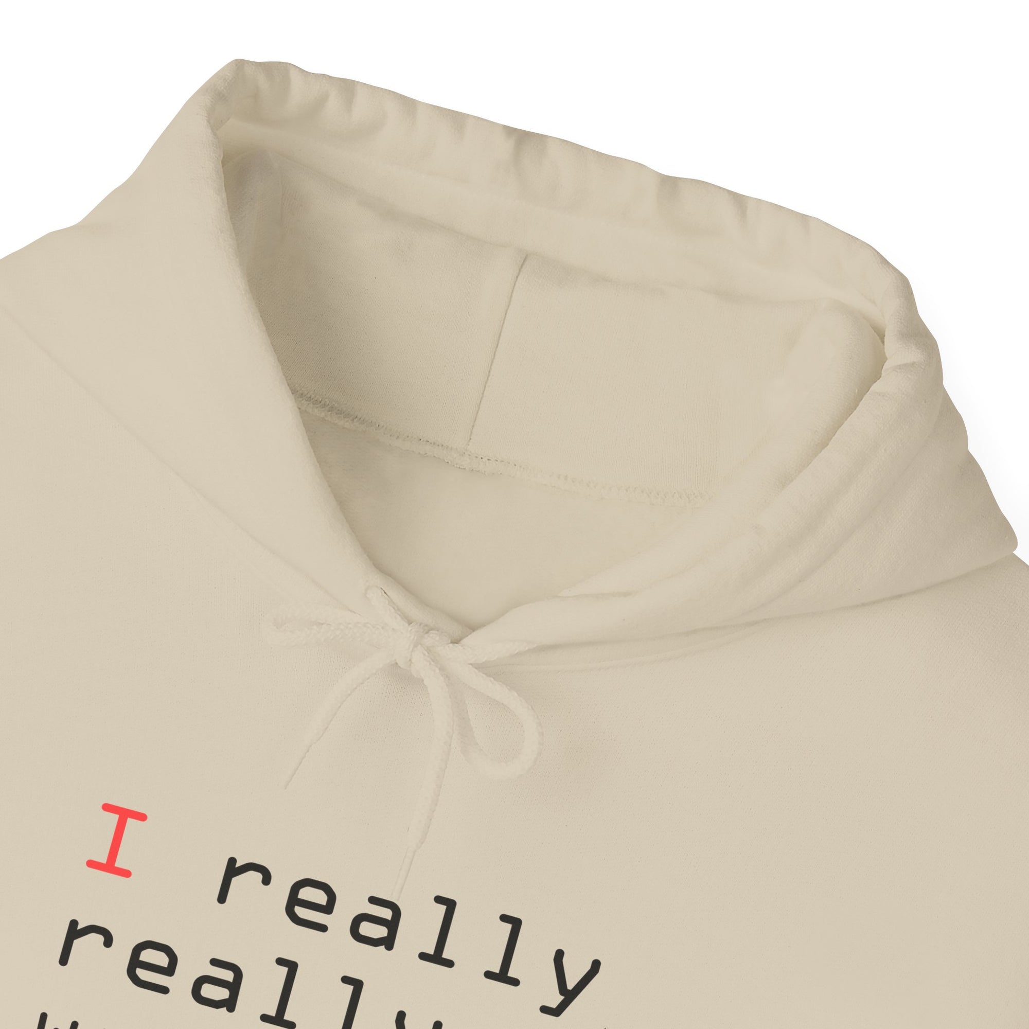 I Really Really Want To Be A Pilot  - Unisex Pullover Hoodie
