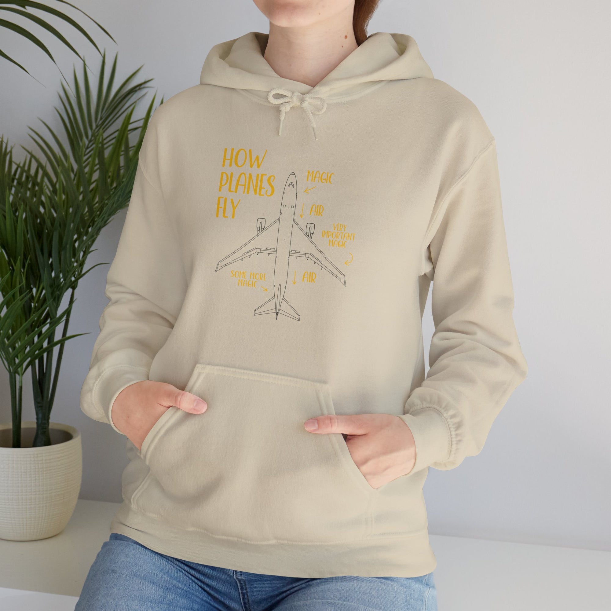 How Planes Fly? - Pullover Hoodie