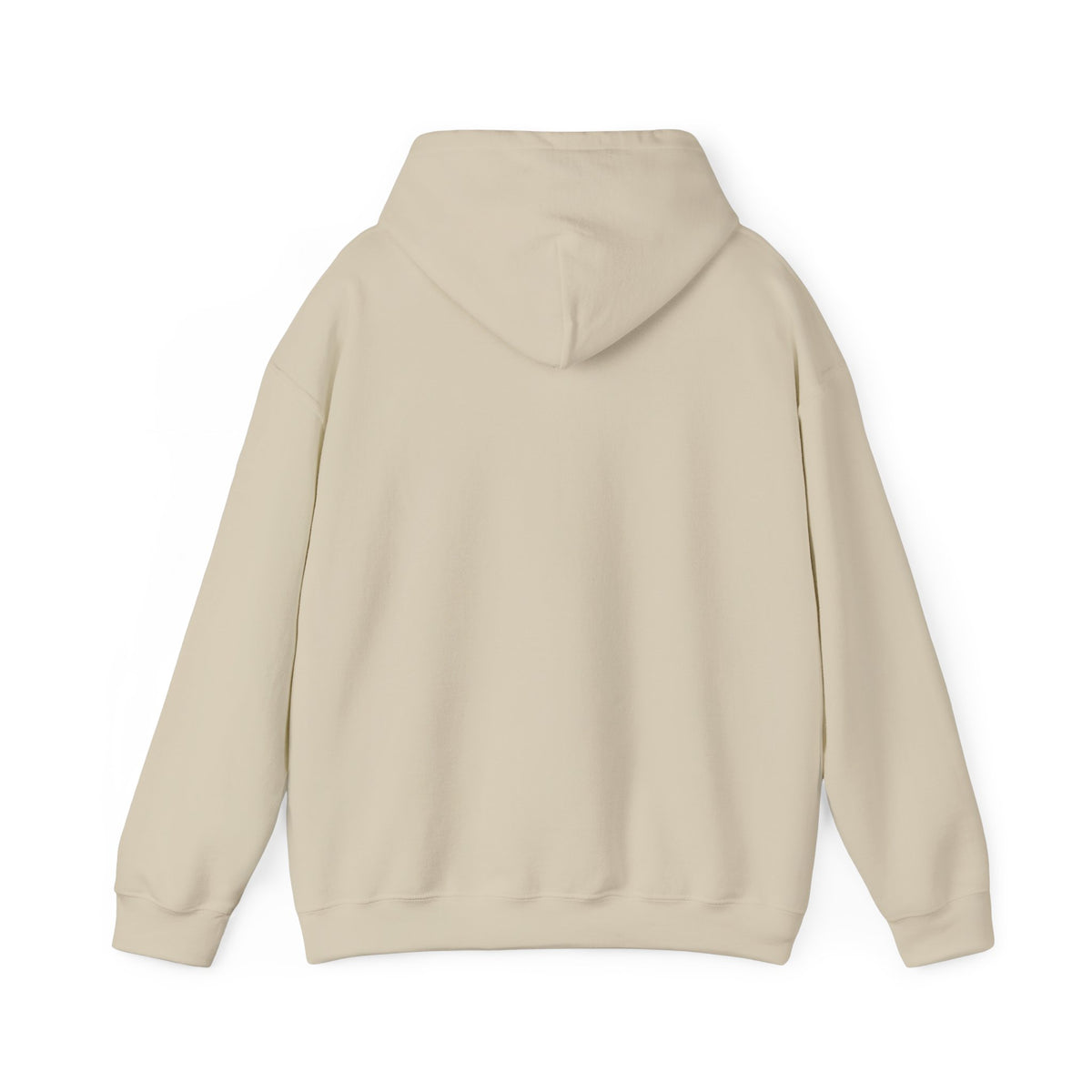Boeing 737  - Pullover Hoodie
