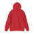 Airbus A340 - Pullover Hoodie