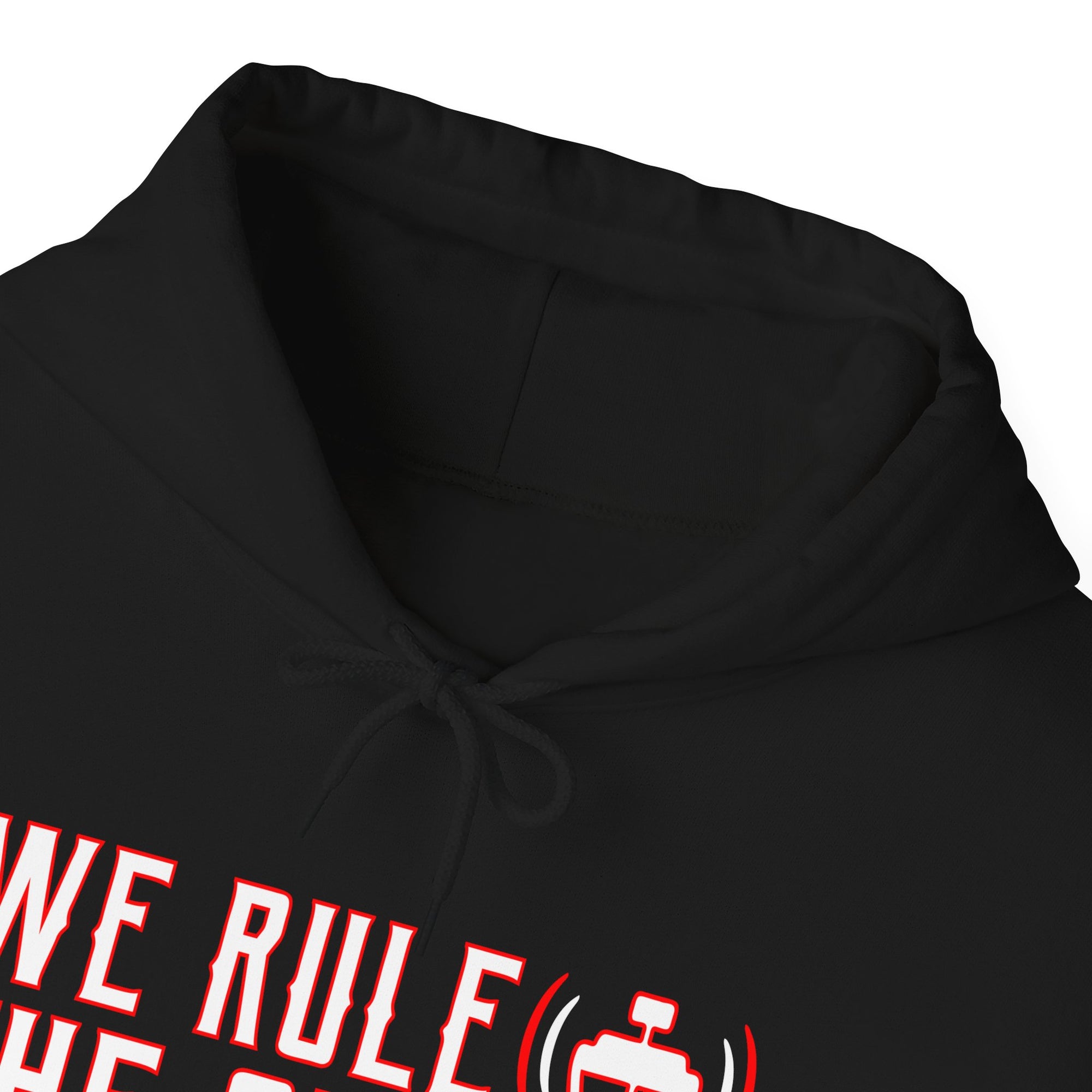 We Rule The Sky  - Pullover Hoodie
