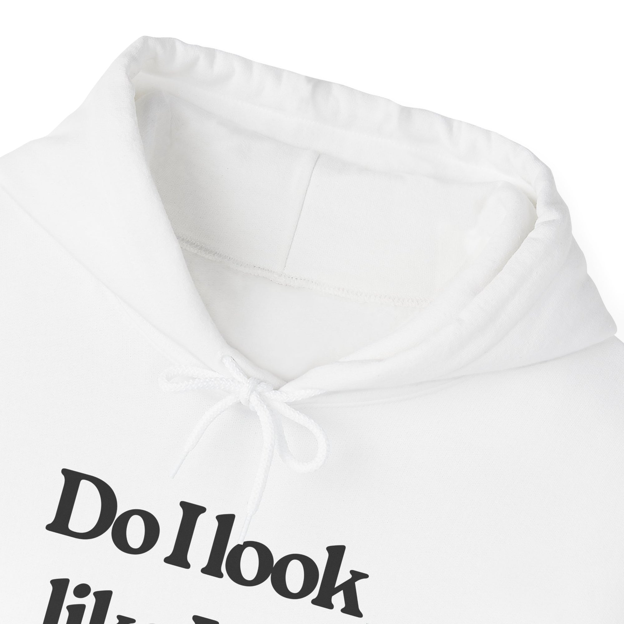 Do I Look Like I Fly Economy?  - Pullover Hoodie