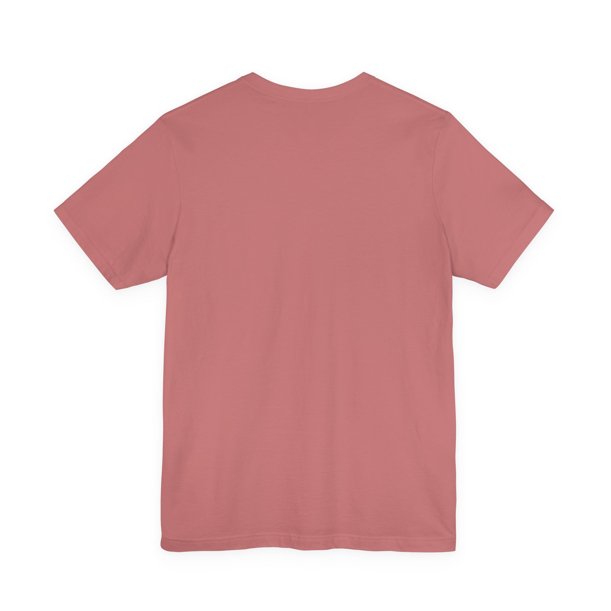 How Planes Fly?  - Unisex Jersey Tee
